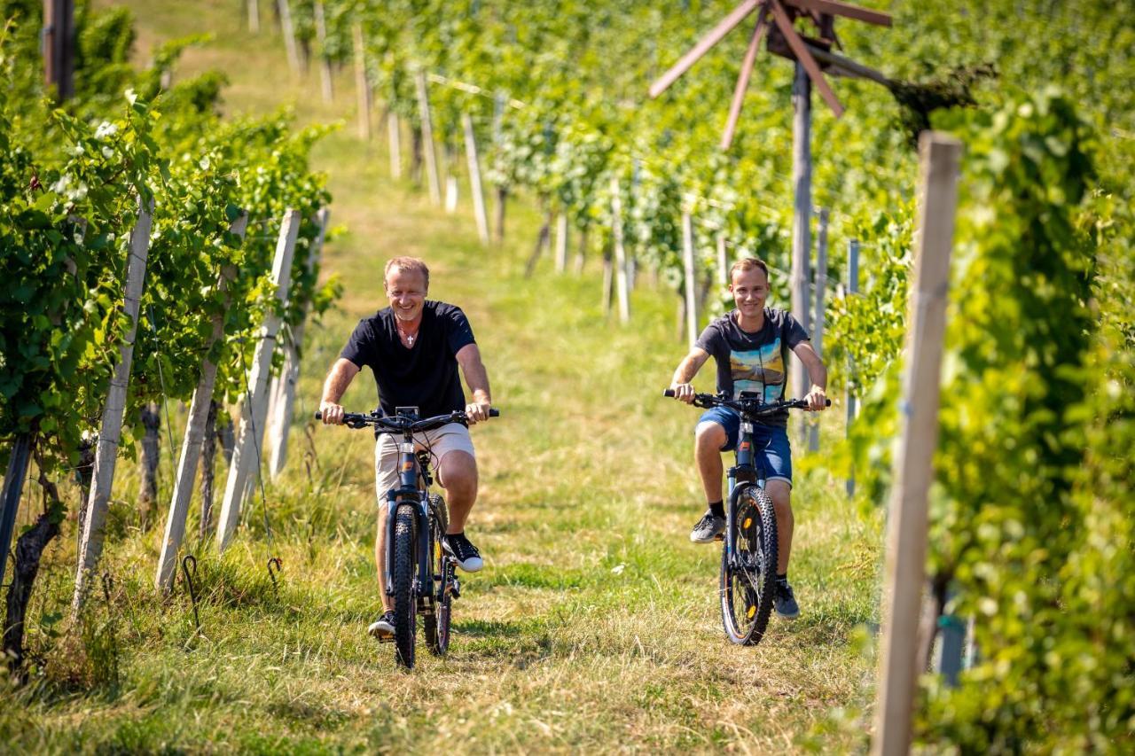 Weingut-Gaestehaus Birnstingl Gamlitz Ngoại thất bức ảnh
