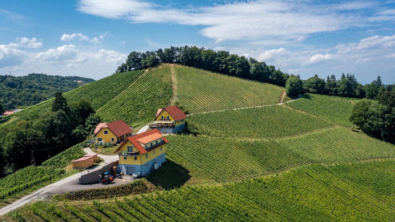 Weingut-Gaestehaus Birnstingl Gamlitz Ngoại thất bức ảnh