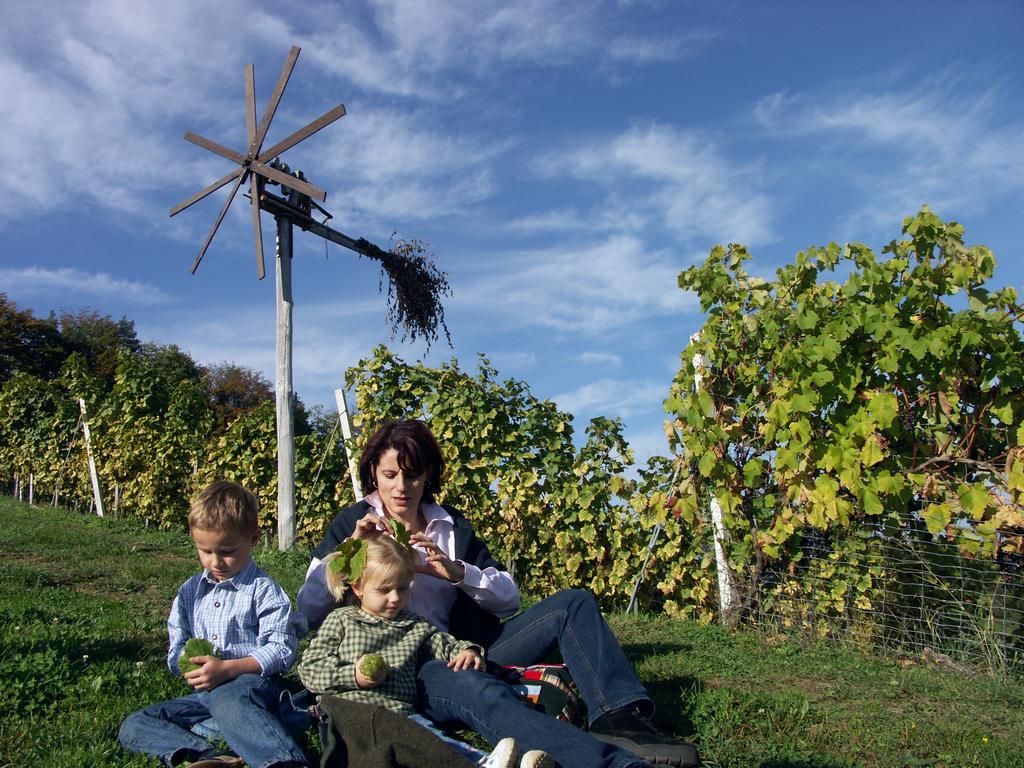 Weingut-Gaestehaus Birnstingl Gamlitz Ngoại thất bức ảnh